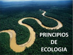PRINCIPIOS DE ECOLOGIA Ecologa es la rama de