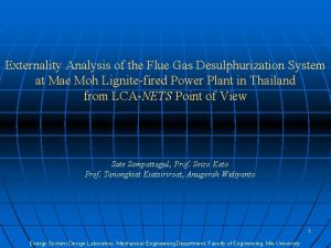 Externality Analysis of the Flue Gas Desulphurization System