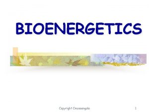 BIOENERGETICS Copyright Cmassengale 1 What is Bioenergetics The