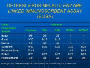 DETEKSI VIRUS MELALUI ENZYMELINKED IMMUNOSORBENT ASSAY ELISA Lokasi