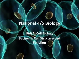 National 45 Biology Unit 1 Cell Biology Section