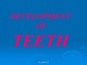 DEVELOPMENT OF TEETH dr shabeel pn DEVELOPMENT OF