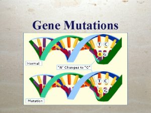 Gene Mutations Mutations Any mistake or change in