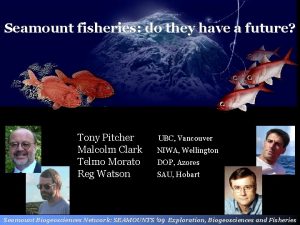 Seamount fisheries do they have a future Tony