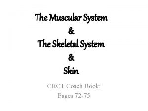 The Muscular System The Skeletal System Skin CRCT