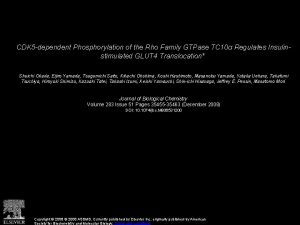 CDK 5 dependent Phosphorylation of the Rho Family