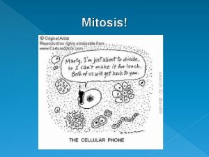 Mitosis Mitosis A form of asexual Reproduction Mitosis