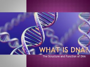 The Structure and Function of DNA Deoxyribonucleic acid