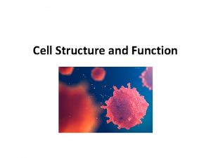 Cell Structure and Function Cells Smallest living unit