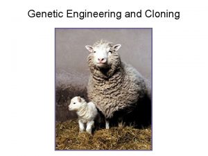 Genetic Engineering and Cloning Cloning genetically identical organisms