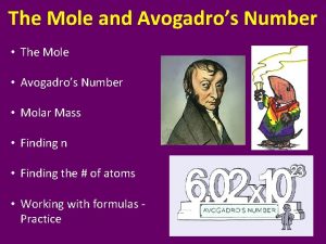 The Mole and Avogadros Number The Mole Avogadros