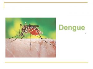 Dengue Dengue fever DF n Is an acute