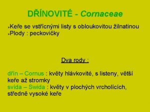 DNOVIT Cornaceae Kee se vstcnmi listy s obloukovitou