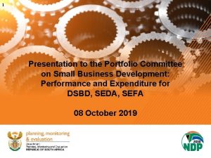 1 Presentation to the Portfolio Committee on Small