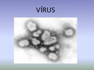 VRUS Defincia vrusu Vrus je biologick systm infikujci