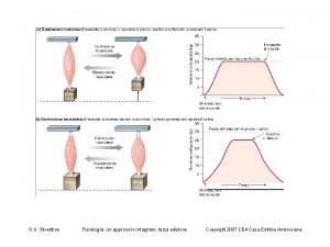 D U Silverthon Fisiologia un approccio integrato terza