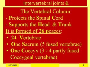 Intervertebral joints The Vertebral Column Protects the Spinal