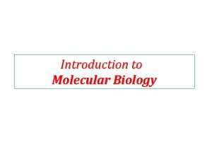 Introduction to Molecular Biology MOLECULAR BIOLOGY 1 Nucleotides