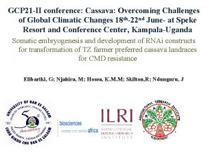 GCP 21 II conference Cassava Overcoming Challenges of