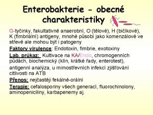 Enterobakterie obecn charakteristiky Gtyinky fakultativn anaerobn O tlov
