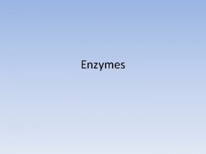 Enzymes Enzymes are Proteins that act as catalysts