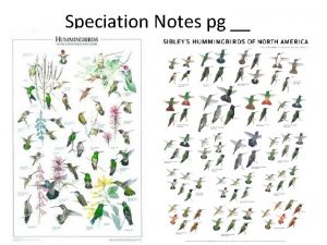 Speciation Notes pg Speciation Speciation formation of new