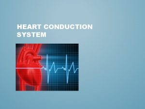 HEART CONDUCTION SYSTEM Cardiac Muscle cells contract as