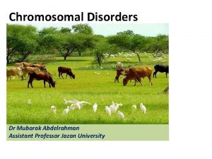 Chromosomal Disorders Dr Mubarak Abdelrahman Assistant Professor Jazan