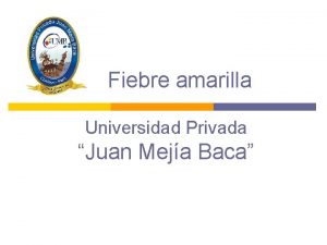 Fiebre amarilla Universidad Privada Juan Meja Baca Fiebre