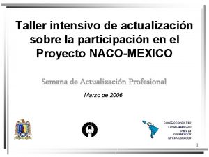 Taller intensivo de actualizacin sobre la participacin en