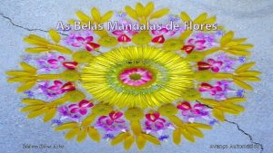 As Belas Mandalas de Flores Biajova Slides Artes