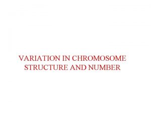 VARIATION IN CHROMOSOME STRUCTURE AND NUMBER Duplications n