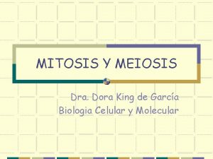 MITOSIS Y MEIOSIS Dra Dora King de Garca