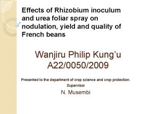 Effects of Rhizobium inoculum and urea foliar spray