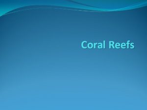 Coral Reefs INTRODUCTION Coral reefs are the most
