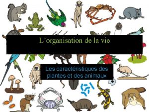 Lorganisation de la vie LUnivers vivant Les caractristiques