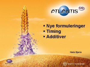 Nye formuleringer Timing Additiver Niels Bjerre 1 Nye