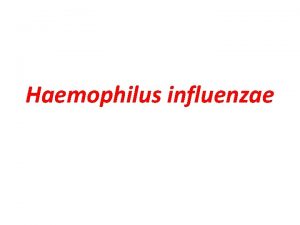 Haemophilus influenzae Most Common Species of Haemophilus Haemophilus