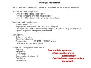 The Fungal Interactome Fungal interactions specifically those that