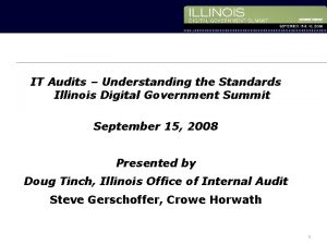 IT Audits Understanding the Standards Illinois Digital Government