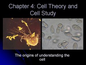 Chapter 4 Cell Theory and Cell Study The