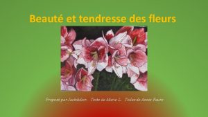 Beaut et tendresse des fleurs Propos par Jackdidier