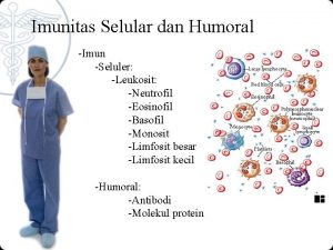 Imunitas Selular dan Humoral Imun Seluler Leukosit Neutrofil