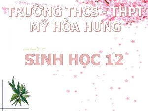 TRNG THCS THPT M HA HNG SINH HC