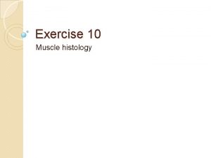 Exercise 10 Muscle histology Muscle Types Skeletal attached