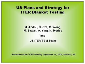 US Plans and Strategy for ITER Blanket Testing