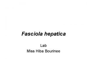 Fasciola hepatica Lab Miss Hiba Bourinee Medically significant
