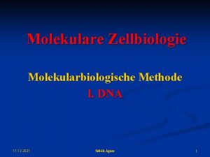 Molekulare Zellbiologie Molekularbiologische Methode I DNA 17 12