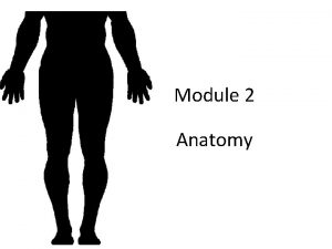 Module 2 Anatomy Gross Anatomy Systemic Regional Clinical