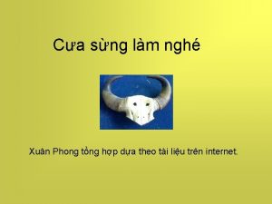 Ca sng lm ngh Xun Phong tng hp